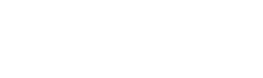 Toshi Partners